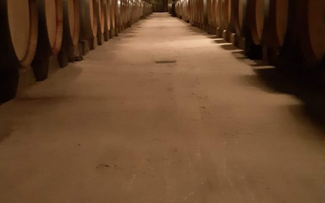 barricas-bodega