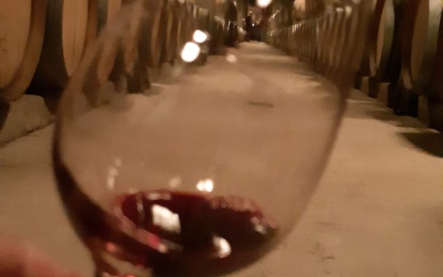 degustacion-bodega