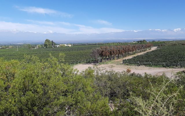 valle de uco vista panoramica